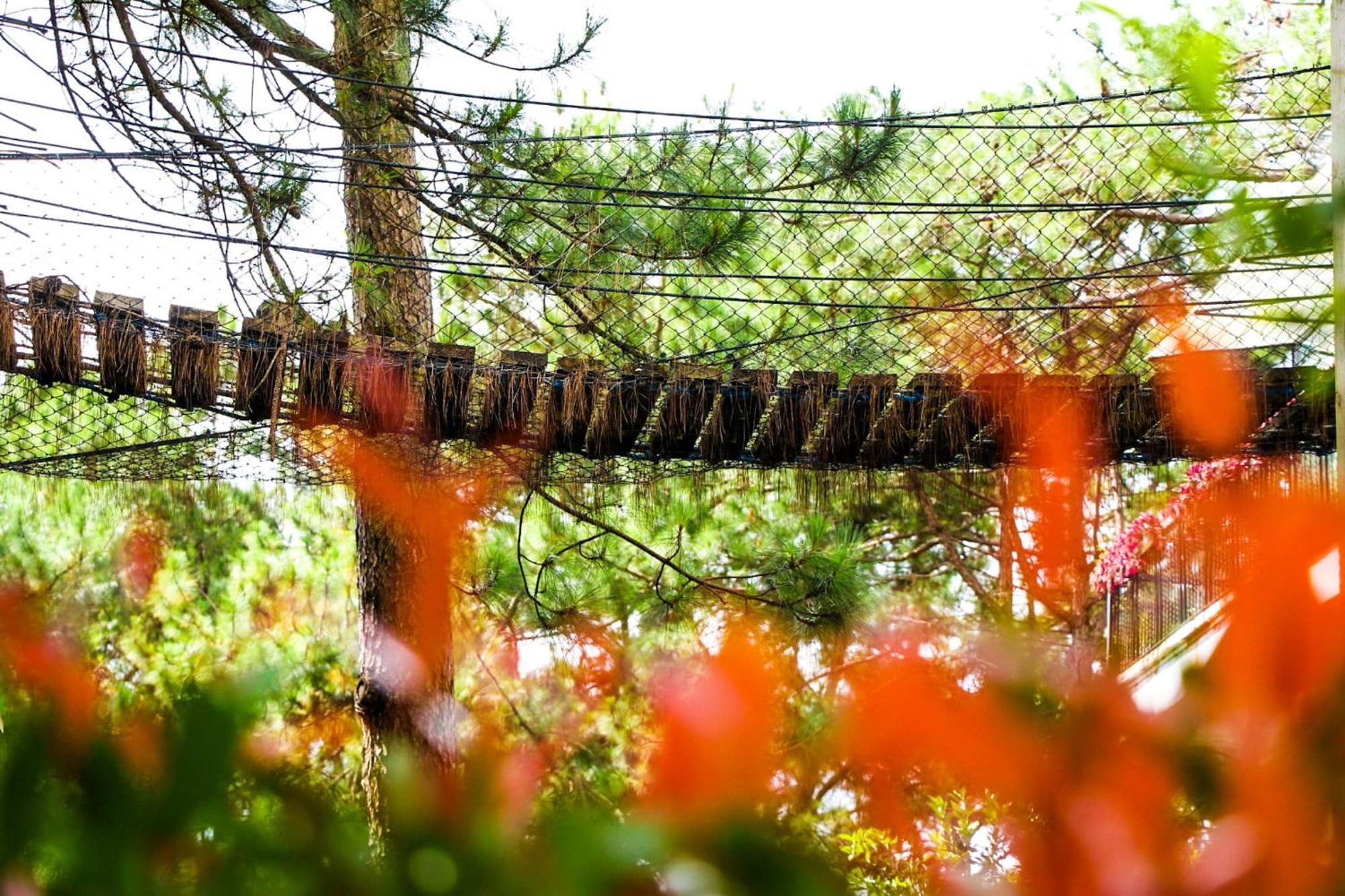 Tudor In The Pines Βίλα Baguio City Εξωτερικό φωτογραφία
